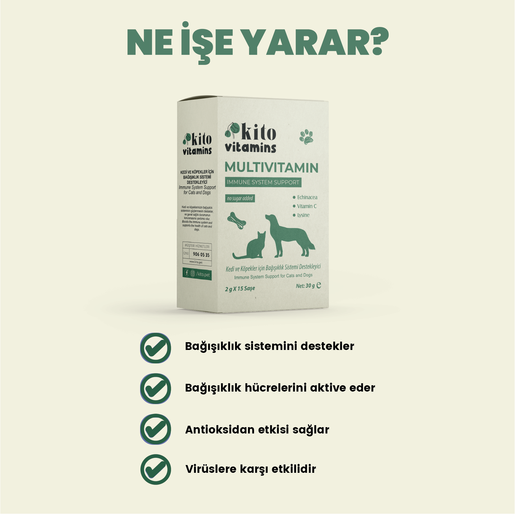 Büyüt