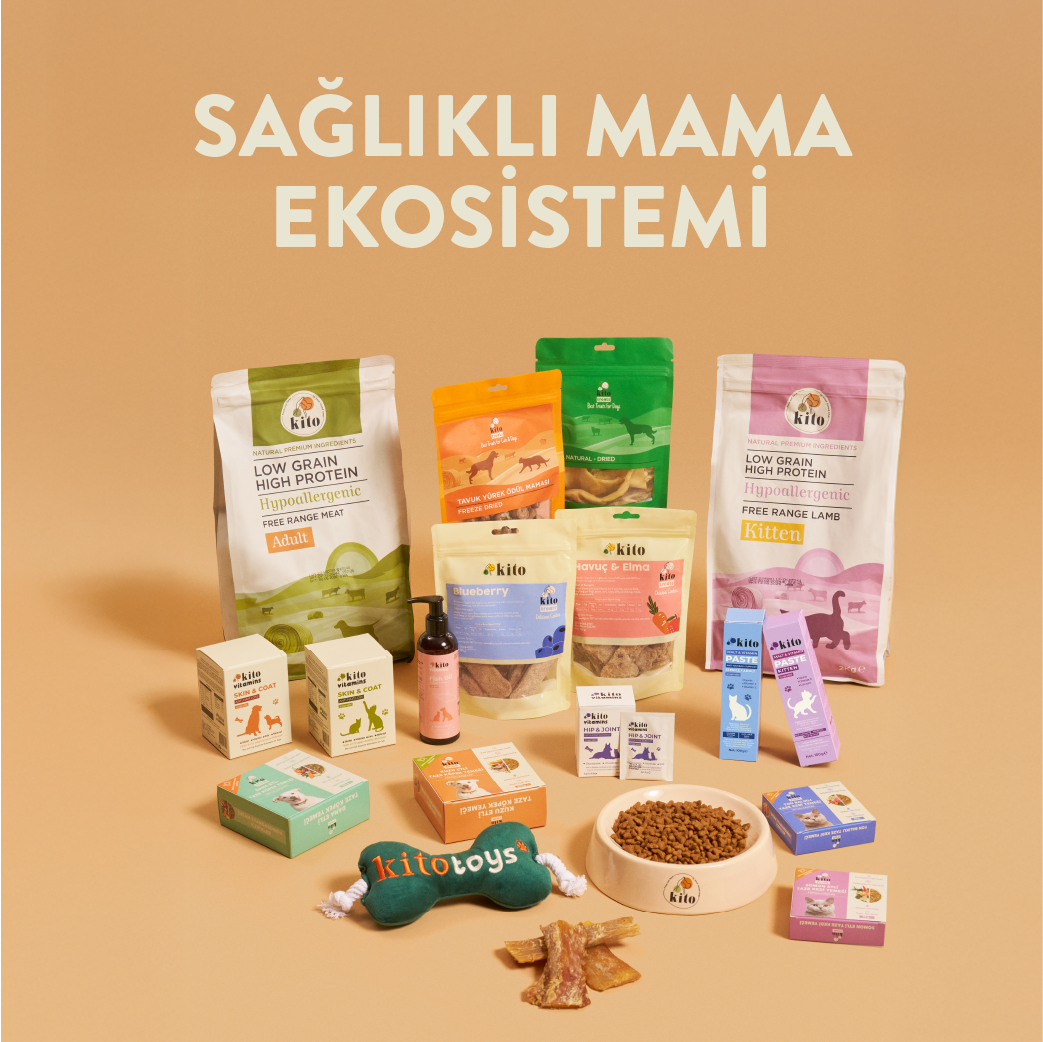 Büyüt