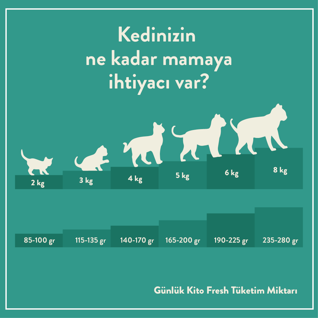Büyüt