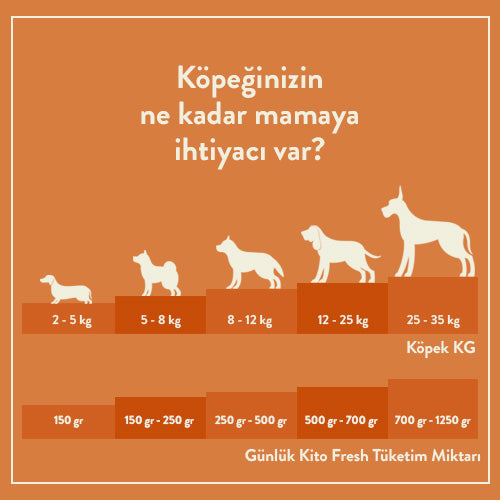 Büyüt