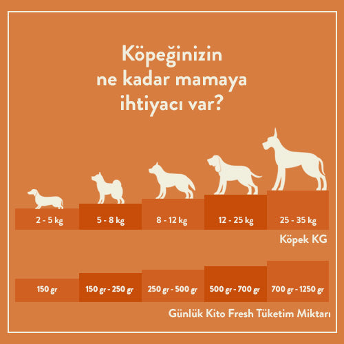 Kito Fresh Kuzu Etli Köpek Yemeği 250 gr