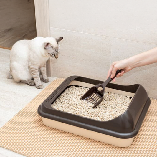 Kedi Tuvaleti Nasıl Temizlenir? Sağlıklı ve Hijyenik Bir Kum Kabı İçin Adım Adım Rehber