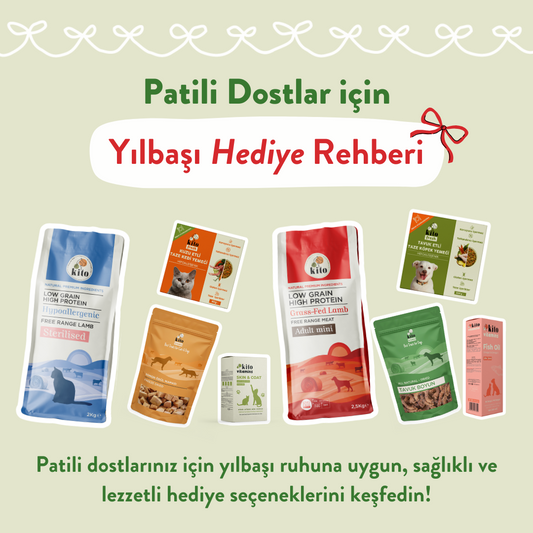 Patili Dostlar İçin Yılbaşı Hediye Rehberi
