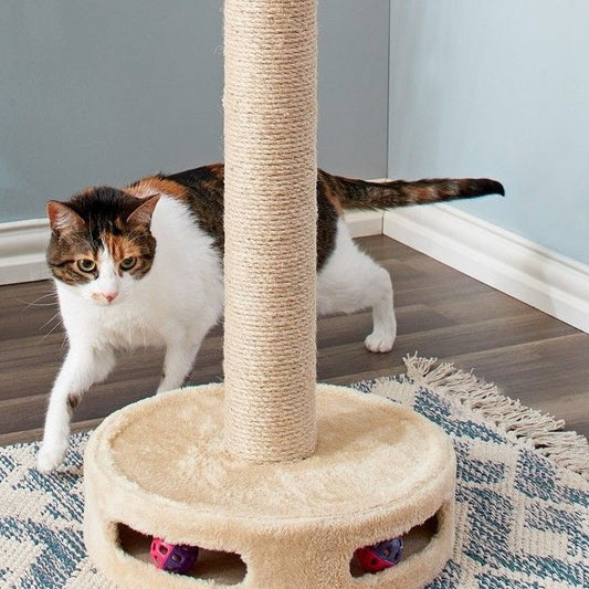 Kedinizin Koltuk ve Halı Gibi Yerleri Tırmalamasını Nasıl Önlersiniz? Etkili ve Kalıcı Çözümler