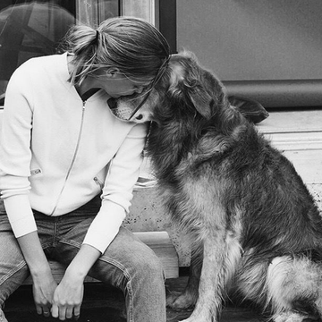 Köpeğim Üzgün Olduğumu Nasıl Anlıyor?