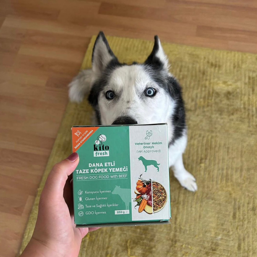 The Benefits of Hypoallergenic Nutrition with Kito Fresh Pet Foods
