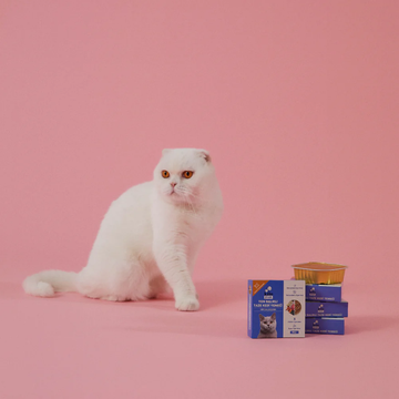 Kediniz İçin Sağlıklı Besinler Seçmek