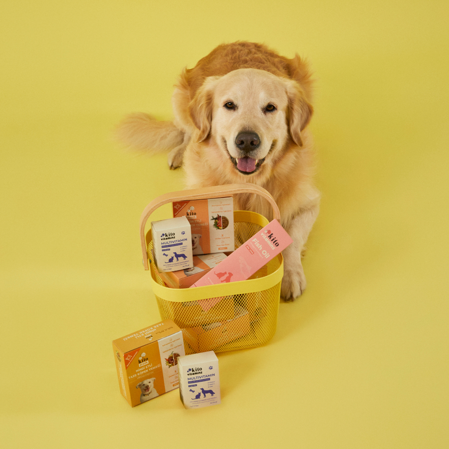 How to Make Your Dog's Coat Shiniest and Healthiest?