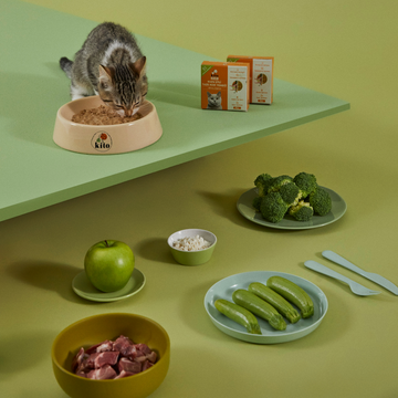 İnsan Standardında Kito Fresh: Patili Dostlarımız için En İyi Seçenek