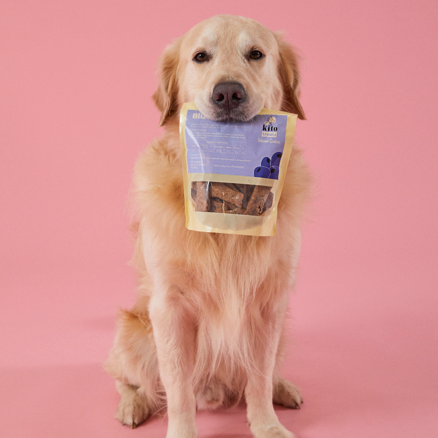 How to Choose the Perfect Treat for Your Dog?
