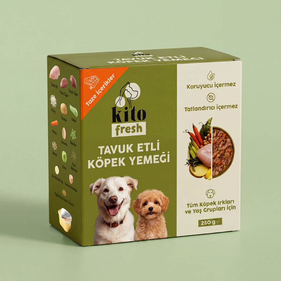 Köpekler Neden Sahiplerini Yalar? Davranışın Ardındaki 7 Neden