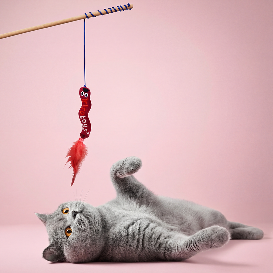 Why Do Cats Play with String? Reasons and Things to Consider