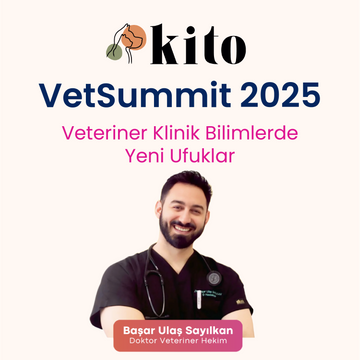 Dr. Veteriner Hekim Başar Ulaş Sayılkan: Pulmoner Hipertansiyon