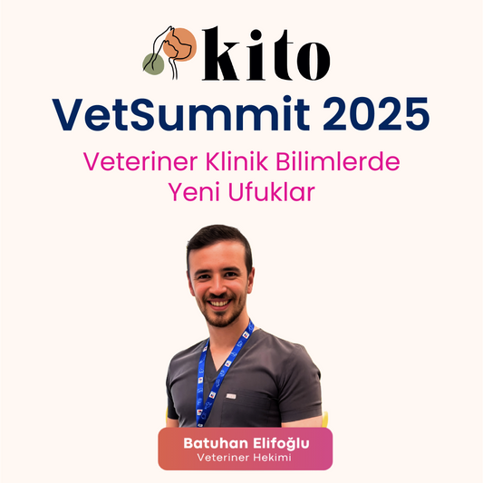 Veteriner Hekim Batuhan Elifoğlu ile Kedi ve Köpeklerde Ağız ve Diş Sağlığına Giriş Anatomi, Dental Charting ve COHAT