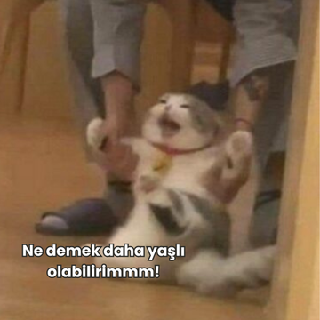 Kedinizin ve Köpeğinizin Yaşını İnsan Yaşına Çevirmek Sandığınızdan Çok Farklı!
