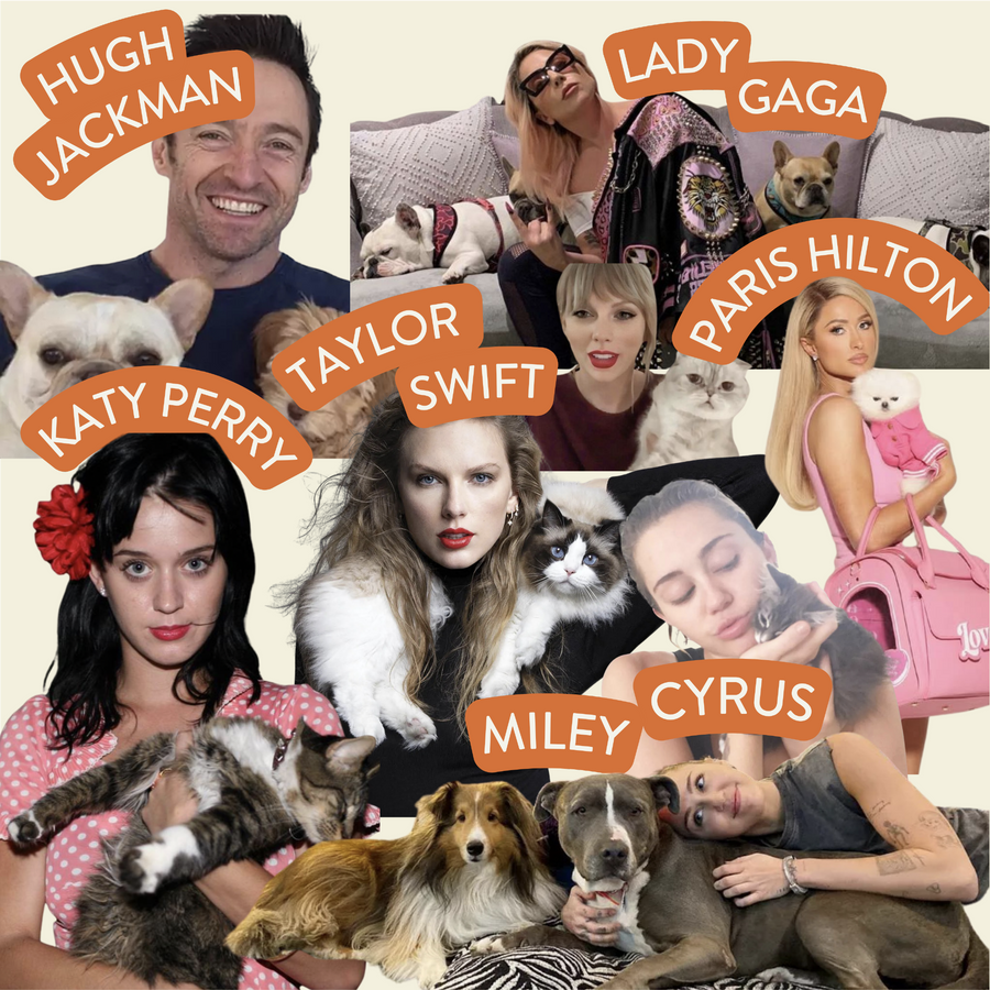 🌟 The Adorable Furry Friends of     World- Famous Stars