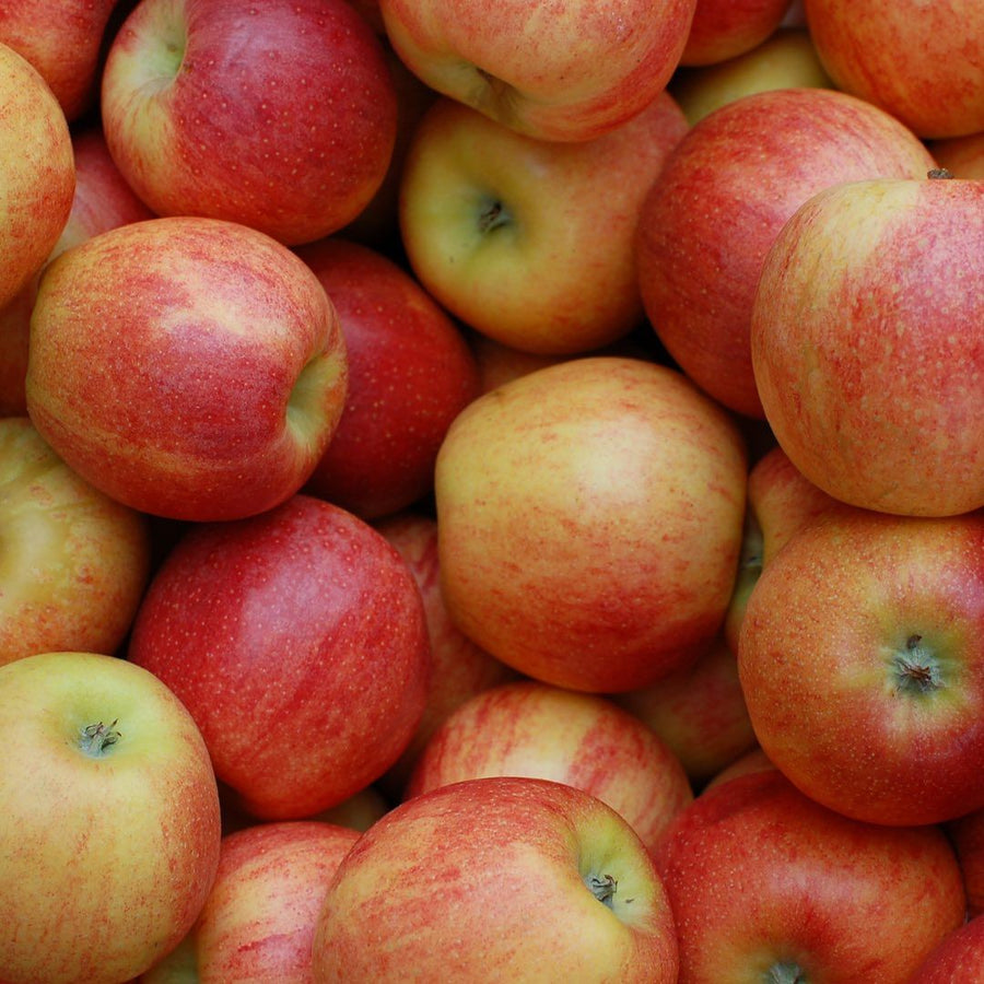 Kito Fresh Ingredents: Apple