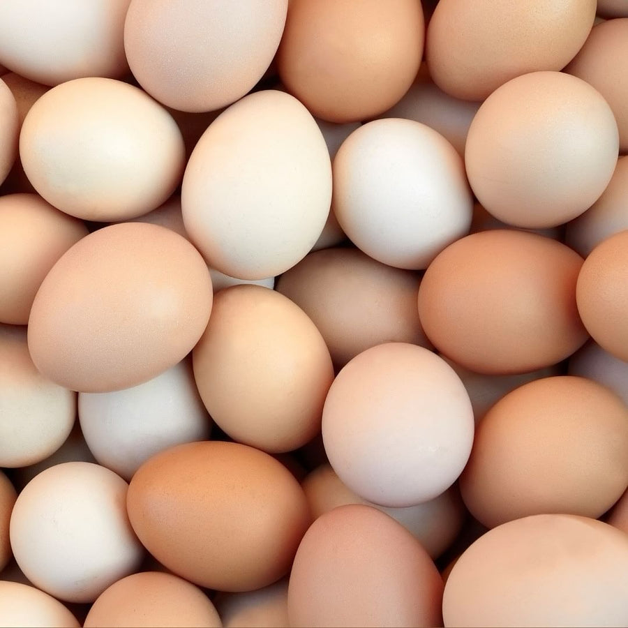 Kito Fresh Ingredents: Eggs