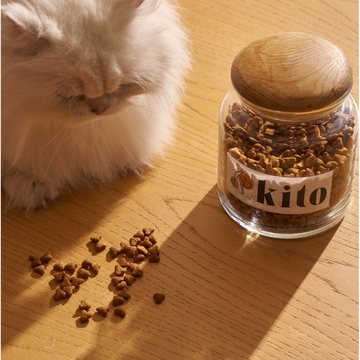 Evcil Hayvan Mamasında Orijinallik Rehberi: Patili Dostunuzun Sağlığını Nasıl Korursunuz?