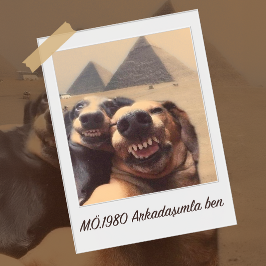 Patili Dostlarımızın Tarihteki Sıradışı Maceraları