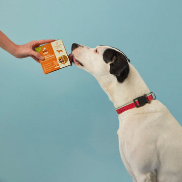 Doğru Mama Tercihi Nasıl Olmalıdır?