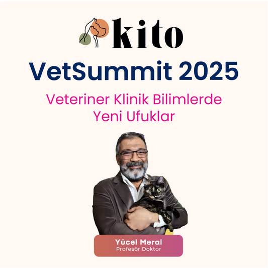 Prof. Dr. Yücel Meral ile Kardiyolojik Aciller ve EKG Rehberi - Köpeğiniz Parkta Aniden Bayıldı mı?