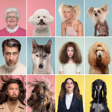 🐾 Evcil Hayvanların Sahiplerine Benzeme Bilimi: Efsane mi Gerçek mi?