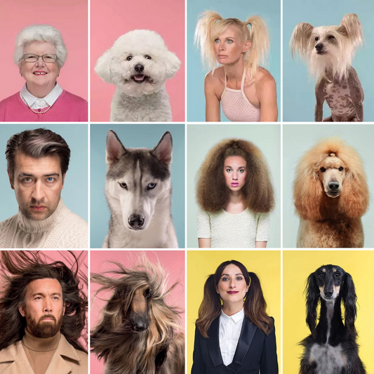 🐾 Evcil Hayvanların Sahiplerine Benzeme Bilimi: Efsane mi Gerçek mi?