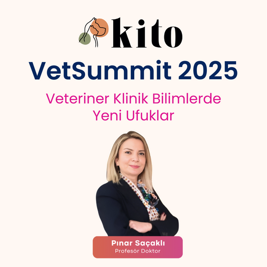 Prof. Dr. Pınar Saçaklı ile – İçimizdeki Dünya: Bağırsak Sağlığı ve Beslenme