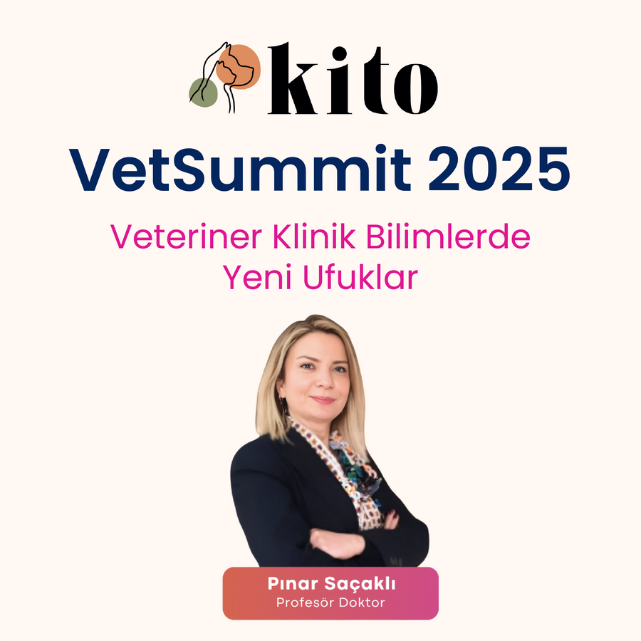 Prof. Dr. Pınar Saçaklı ile – İçimizdeki Dünya: Bağırsak Sağlığı ve Beslenme