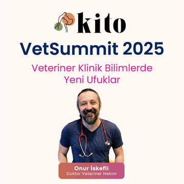 Dr. Veteriner Hekim Onur İskefli: Dilate Kardiyomiyopati