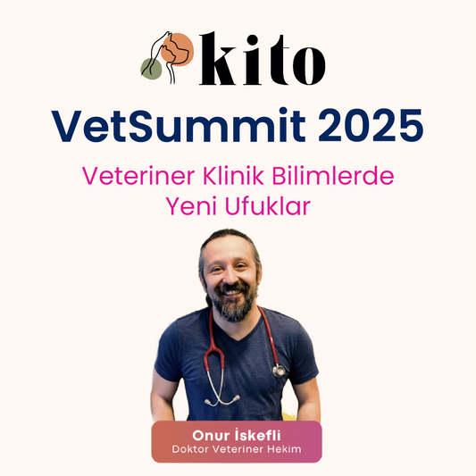 Dr. Veteriner Hekim Onur İskefli: Dilate Kardiyomiyopati