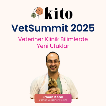 Dr. Veteriner Hekim Erman Koral/Kedi ve Köpeklerde Alt Üriner Sistem Hastalıkları