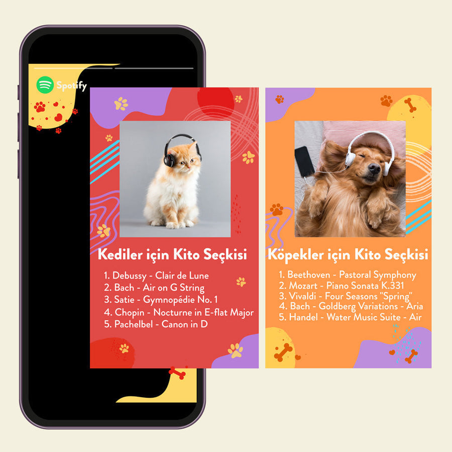 🐕 Evcil Hayvanlar için Klasik Müzik 🐈