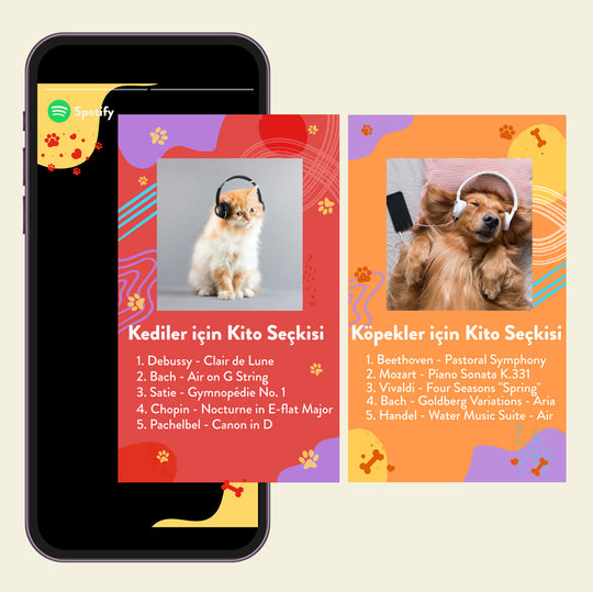 🐕 Evcil Hayvanlar için Klasik Müzik 🐈