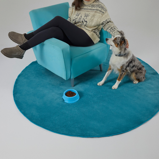 Köpek Sahiplenmeden Önce Göz Önünde Bulundurulması Gerekenler Nelerdir?