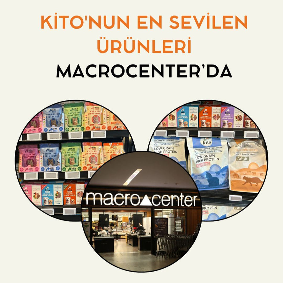 Sağlıklı Evcil Hayvan Beslenmesinde Yeni Dönem: Kito Ürünleri Şimdi Macrocenter Şubelerinde!