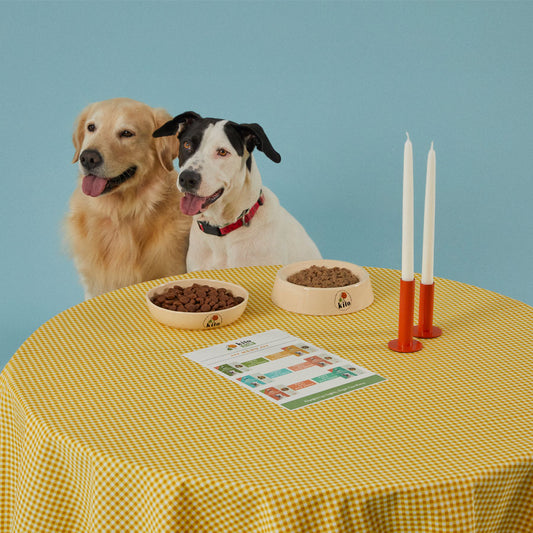 Köpekler İçin Kilolarına Göre Beslenme Rehberi