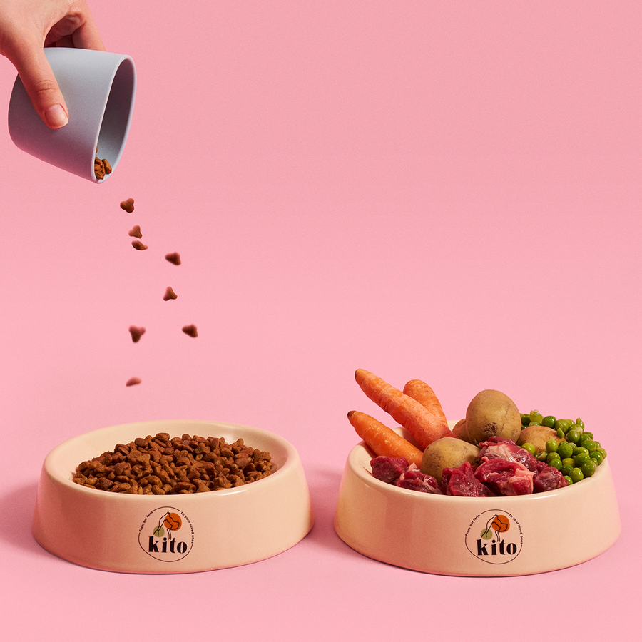 How to Read Labels When Buying Dry Cat Food: A Guide to Ingredient Analysis