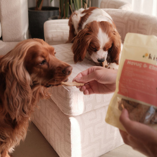 Patili Dostunuzun Ruh Halini Nasıl Anlarsınız?