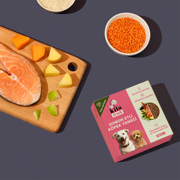 Küçük Irk Yavru Köpeklerde Parlak Tüylerin Sırrı: Somonun Faydaları