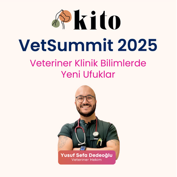 Veteriner Hekim Yusuf Sefa Dedeoğlu: Böbrek Hastalıklarının Sonografik Yorumlanması