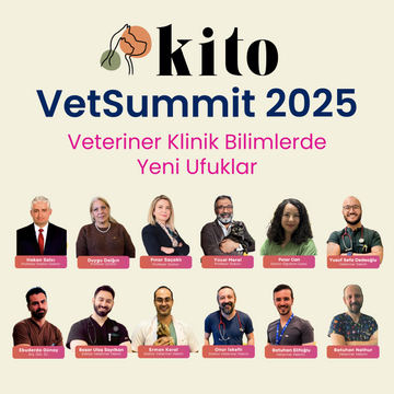 Kito VetSummit 2025: Veteriner Klinik Bilimlerde Yeni Ufuklara Yolculuk Tamamlandı.