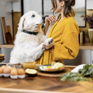 Evde Mama Yapmak Ne Kadar Doğru?