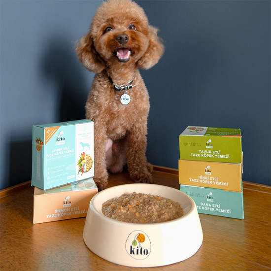 Levrek Etli Taze Köpek Yemeği