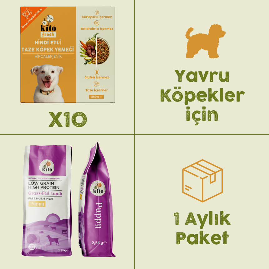 10 Adet Hindi Etli Kito Fresh + 2,5 kg Yavru Köpek Maması