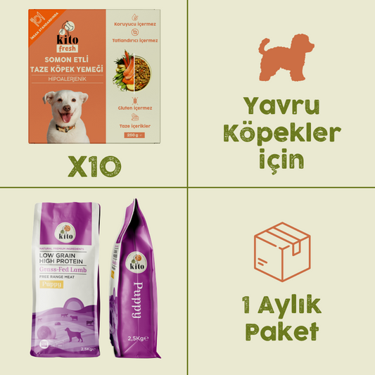 10 Adet Somon Etli Kito Fresh + 2,5 kg Yavru Köpek Maması