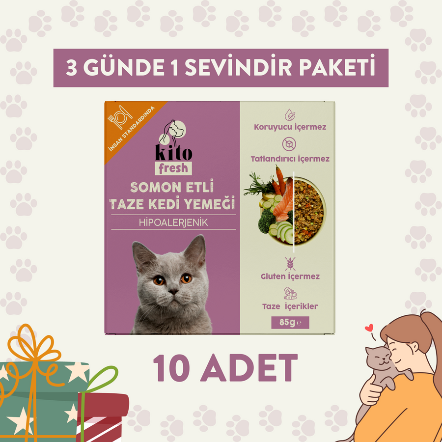 3 Günde 1 Sevindir Paketi Kito Fresh Somonlu Kedi Yemeği 85 gr (10 Adet)