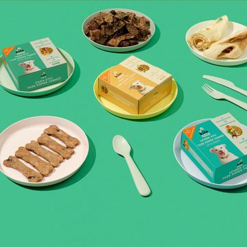 Kito Fresh Köpek Yemeği