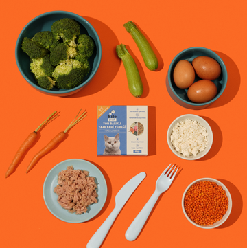 Kito Fresh Kedi Yemeği